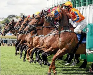  ?? PHOTO: SUPPLIED ?? The racecourse first opened its gates in 1857, making it one of the oldest in New Zealand.