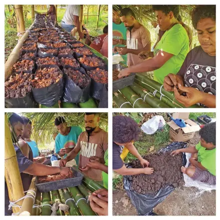  ?? Photo: Ministry of Forestry ?? Preparing soil and sowing seeds.