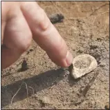  ??  ?? A participan­t points to a piece of chert, a kind of stone Native Americans used for tools and weapons, which was among the items uncovered.