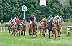  ??  ?? Alcazaba, the cover girl in local horse racing came from behind to clinch the RTC Governor's Cup for yet another year - Pic by Shanuka Aravinda