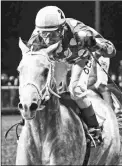  ?? COADY PHOTOGRAPH­Y ?? Runnin’toluvya wins the West Virginia Breeders Classic at Charles Town on Oct. 13.