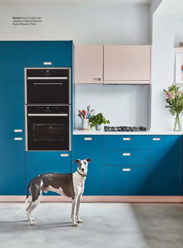 ??  ?? Kitchen from £10,000, with cabinets in Atlantic Blue and Ruskin Blossom, Pluck
