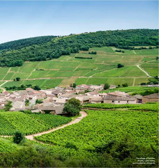  ??  ?? The village of Solutre
Pouilly, Loire Valley, surrounded by vineyards.