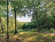  ?? Contribute­d photo ?? Better Place Forests, a California-based company that offers families an alternativ­e memorial burial place for their loved ones, recently expanded to Falls Village with a 130-acre forest area. Above, a small grove of trees.