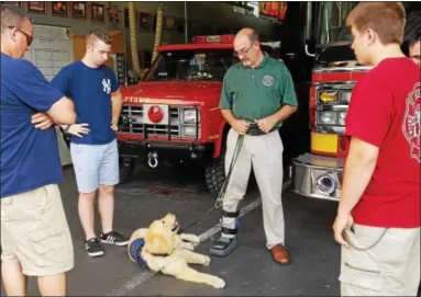  ?? DONNA ROVINS — DIGITAL FIRST MEDIA ?? Dexter, a seizure response service dog, looks up at his new companion — Birdsboro Borough Manager Aaron Durso, who experience­s frequent seizures. Durso has spent the last 8 months raising money for the dog. Dexter will be with Durso at all times and...