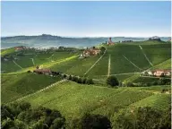 ??  ?? A BIRD’S EYE view of the vineyards of Barbaresco during spring