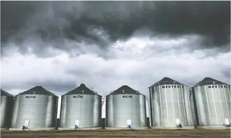  ?? COURTESY OF ROB STONE ?? Canadian farmers have to contend with trade wars and diplomatic tensions on top of their usual agricultur­e challenges. “Some days, you want to take the phone and just shut it off,” Rob Stone said. “Maybe living in the dark wouldn’t be so bad.”