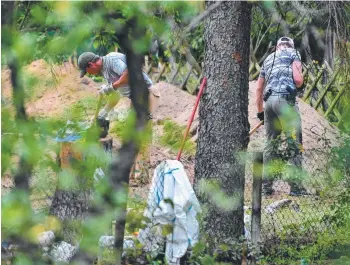  ?? Picture: GETTY ?? CLUE HUNT: Police officers search an allotment garden in Hanover, Germany.