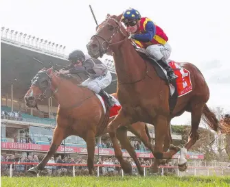  ?? Picture: AAP IMAGE ?? Houtzen (left) just fails to catch boom Victorian sprinter Nature Strip in the McEwen Stakes at Moonee Valley on September 8.