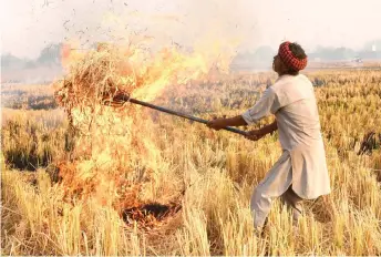  ?? — AFP photo ?? A farmer burns straw stubble after harvesting a paddy crop in a field on the outskirts Amritsar.