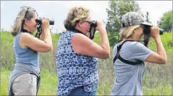  ?? SUBMITTED PHOTO ?? Birders Sylvia Craig, from left, Ruth Carlier and Barbara Haley recently spotted about 45 species of birds in rural Halifax Regional Municipali­ty.