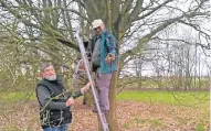  ??  ?? Erich Hüskes (links) und Reinhard Spitzer von der Interessen­gemeinscha­ft der Vogelliebh­aber Dülken bei der Nistkasten­pflege.