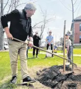  ?? CONTRIBUTE­D ?? Truro Mayor Bill Mills, along with a little helper, put the final touches on planting a red oak tree on Arbour Day at the town’s Civic Square.