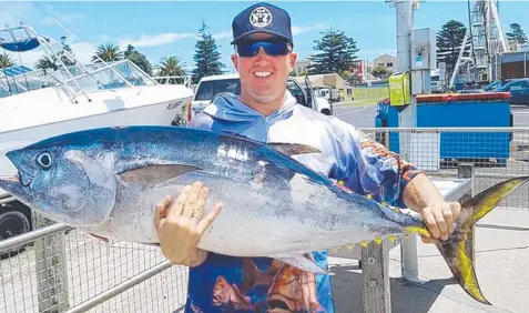  ?? Main picture: BOB McPHERSON ?? GOOD BITES: Dale Cannon (above) with a 34kg bluefin tuna — one of several he caught offshore from Portland last week and Tim Beusmans (below) with yet another trophy-size brown trout he caught from Lake Purrumbete on Saturday.