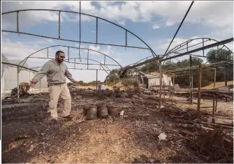  ??  ?? תושב נתיב העשרה אורי דרייליך, בחממה שלו שהוצתה