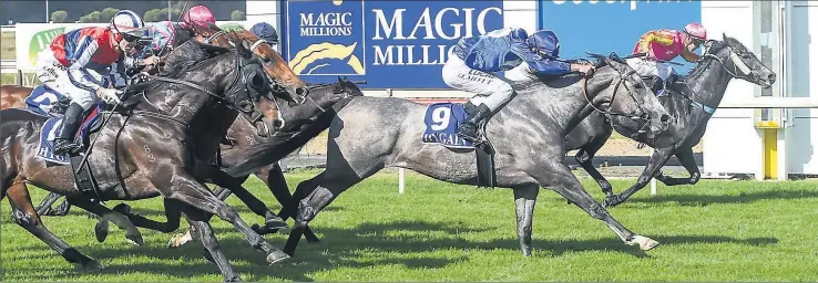  ?? Brett Holburt/Racing Photos ?? HANGING IN THERE: Fighting Shadow, ridden by Jarrod Fry, wins the Lloyd Sound BM58 Handicap at Seymour Racecourse on Monday after leading for most of the race. In the end it was a nail-biting photo finish but Fighting Shadow held on. Photo: