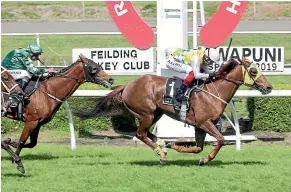  ?? TRISH DUNELL ?? Shadows Cast and rider Jason Waddell win at Awapuni yesterday.