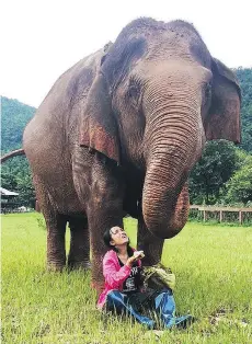  ??  ?? Sangduen Lek Chailert is the founder of the Elephant Nature Park.