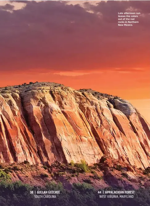  ??  ?? Late afternoon sun teases the colors out of the red rocks in Northern New Mexico.