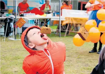  ?? ?? Traditiona­l Dutch games are a big part of any Dutch Day Out.