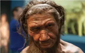  ?? Photograph: Malcolm Park editorial/Alamy Stock Photo ?? A model of a Neandertha­l man at the Natural History Museum in London.