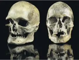  ?? Photo: Jürgen Vogel, LVR-Landes Museum Bonn ?? Male and female skulls from 14,000 years ago