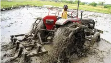  ?? Noah Seelam / AFP ?? There are now more jobs in India for farm workers