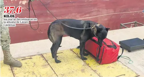  ?? FOTO: SEMAR ?? > Elementos caninos ayudaron a dar con el cargamento.