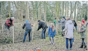  ?? FOTO: PRÜMEN ?? Mit Eifer sind die rund 30 Helfer bei der Sache und schichten die Totholzhec­ke aus Baum-Abschnitt auf. Sie soll ein wertvoller Lebensraum werden.