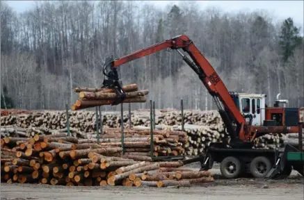  ?? SEAN KILPATRICK, THE CANADIAN PRESS ?? Logs are unloaded at the Murray Brothers Lumber Co. woodlot in Madawaska, Ont.