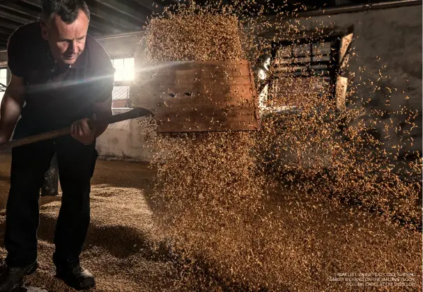  ??  ?? FROM LEFT: DRIED PEAT CLOD; TURNING BARLEY BY HAND ON THE MALTING FLOOR; ROLLING CASKS AT THE DISTILLERY