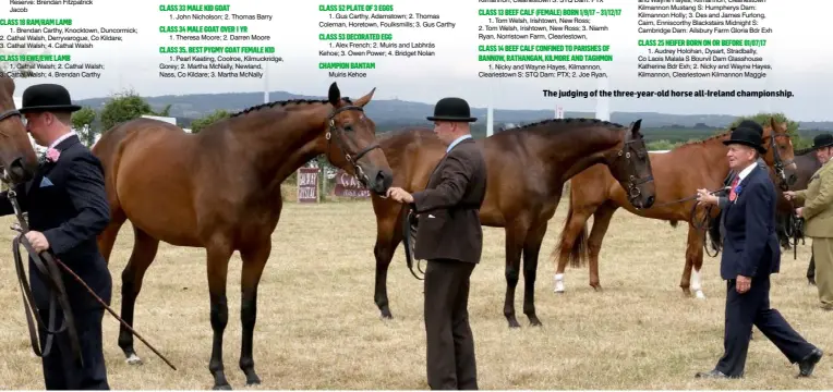  ??  ?? The judging of the three-year-old horse all-Ireland championsh­ip.