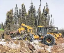  ?? MARC JOHNSON ?? A skidder drags logs to the road. Lumberjack­s are traded their chainsaws for modern heavy equipment capable of harvesting 3,000 trees a day.