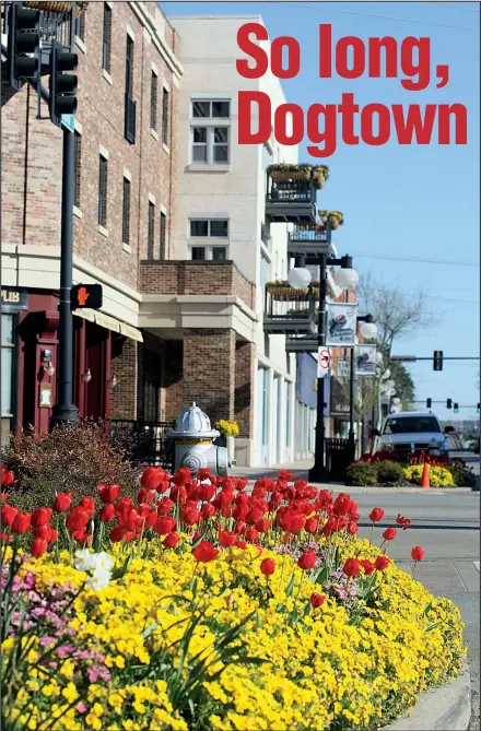  ?? Arkansas Democrat-Gazette file photo ?? A flower bed, including red tulips, blooms along the 200 block of Main Street in North Little Rock.