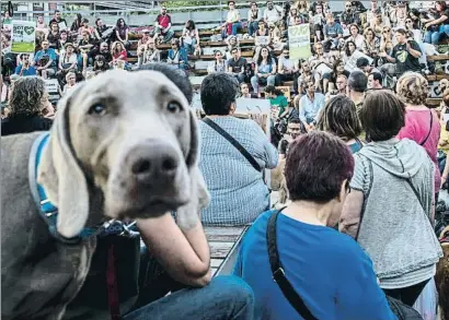  ?? LLIBERT TEIXIDÓ ?? Activistas. Concentrac­ión de defensores del bienestar canino en la plaza Lesseps de Barcelona