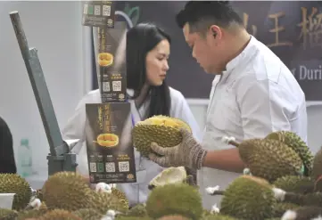  ?? — Reuters photo ?? Promoters work at a booth of Musang King durians at the Malaysia Durian Festival in Nanning, Guangxi Zhuang Autonomous Region, China.