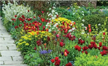  ?? Picture: ALAMY ?? Mix and match: Prepare flower borders now for a spectacula­r spring show