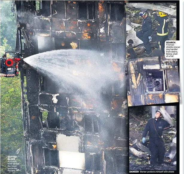  ??  ?? GUTTED BLOCK Hydraulic hose sprays the tower yesterday. Picture: PA DANGER SEARCH Fireman shields rescue dog handler from debris. Below, shell of a flat Worker protects himself with shield