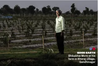  ??  ?? GOOD EARTH
Bhikabhai More at his farm in Khoraj village, Gandhinaga­r