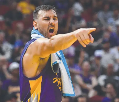  ??  ?? ROYALLY GOOD: Andrew Bogut (centre) of the Sydney Kings has had a profound impact on NBL since coming back to play this year.