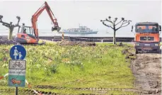  ?? ARCHIVFOTO: ANDY HEINRICH ?? Abgearbeit­et: Im Frühling sind am Uhlandplat­z, im Schlosspar­k sowie an der Uferpromen­ade in Langenarge­n alte Lampen gegen LED-Leuchten ausgetausc­ht worden.