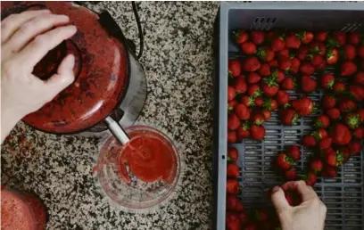  ??  ?? Après un bain d’eau légèrement chlorée, les fraises passent dans une machine pour ne
garder que la pulpe.