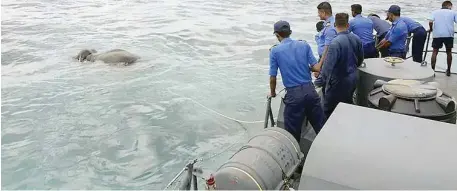  ??  ?? The navy mounted the 12-hour rescue after spotting the elephant struggling to stay afloat around 8 km off the island’s northeast coast. — AFP