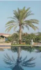  ??  ?? Clockwise from above: Barracuda Beach Resort in Umm Al Quwain; The Cove Rotana Resort Ras Al Khaimah; Mysk Kingfisher Retreat in Sharjah; Fujairah Rotana Resort & Spa; Palazzo Versace Dubai