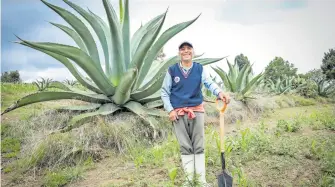  ?? /GIBRÁN ESPINOZA ?? Odón Pérez García se dedica a la recolecció­n de chinicuile­s desde hace más de 25 años