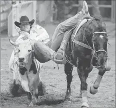  ?? Julie Jacobson/the Associated Press ?? Trevor Knowles drops down off his horse while competing in the steer wrestling competitio­n of the National Finals Rodeo on Monday.