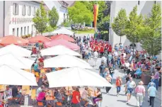  ?? FOTO: ST.-ELISABETH-STIFTUNG ?? Zahlreiche Besucher haben den Weg zum Sommerfest nach Heggbach gefunden.
