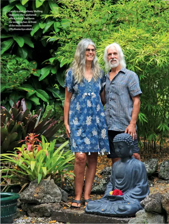  ??  ?? Carolyn and Anthony Melling. Opposite: the Landsendt office, which had been the wedding bar, in front of the moso bamboo
( Phyllostac­hys edulis).