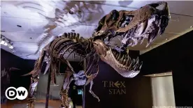  ??  ?? La exposición de Stan, el T. Rex más caro de la historia.