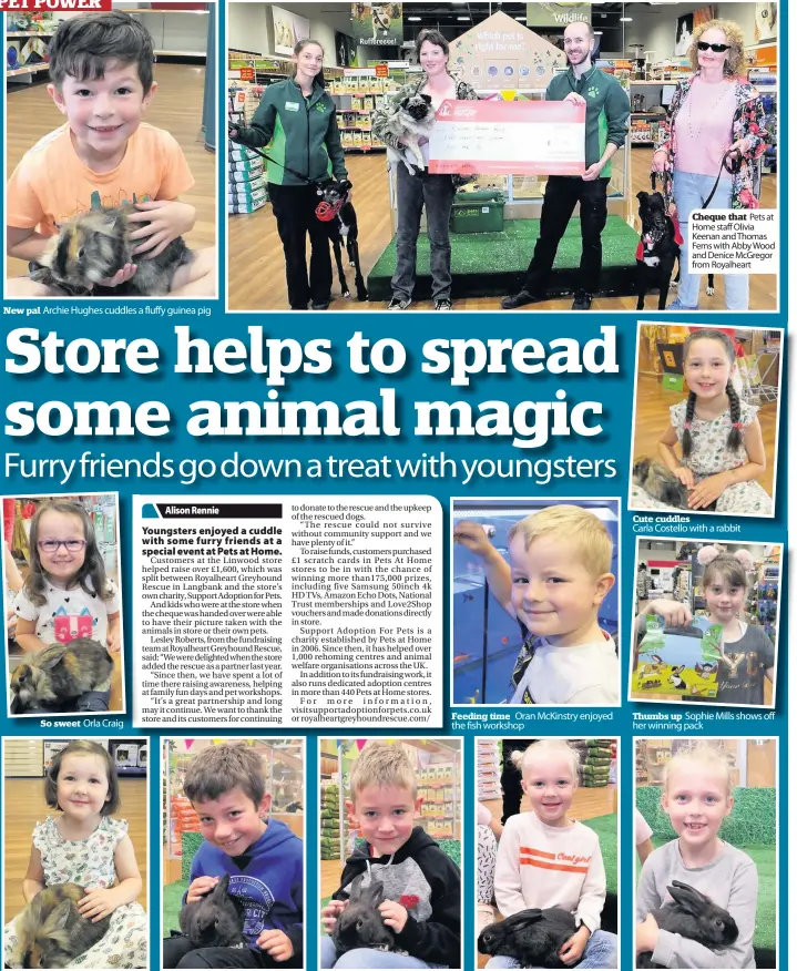  ??  ?? So sweet Orla Craig Summer fun Caitie Costello Right at home Aaron Metior Cute smiles Feeding time Dylan Mills cuddles in Fluffy friend Emily Wallace Cheque that Pets at Home staff Olivia Keenan and Thomas Ferns with Abby Wood and Denice McGregor from...